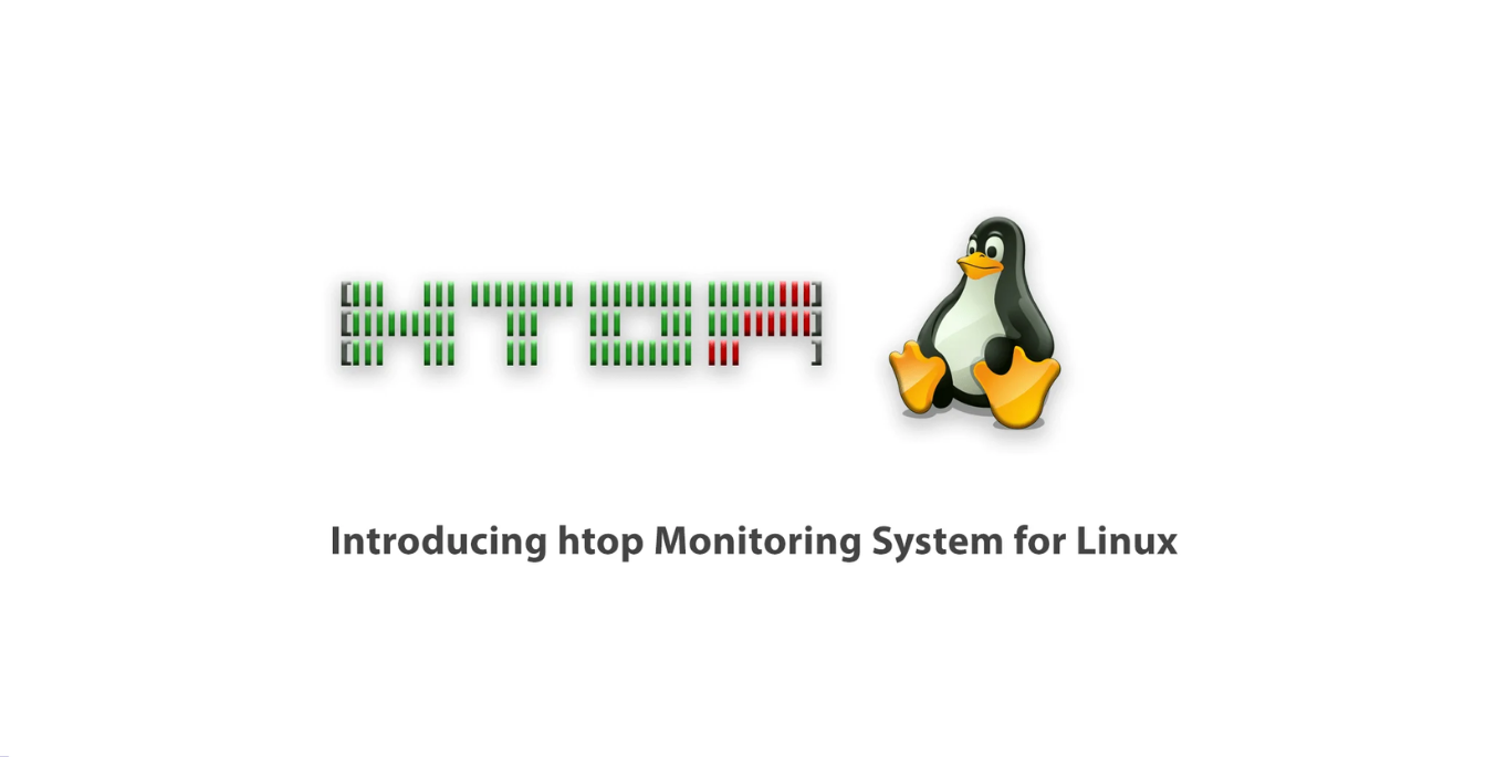 What-is-Htop