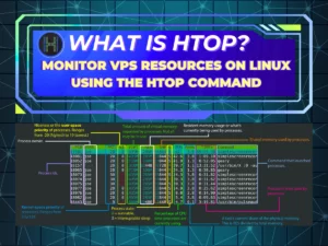 What is Htop 1