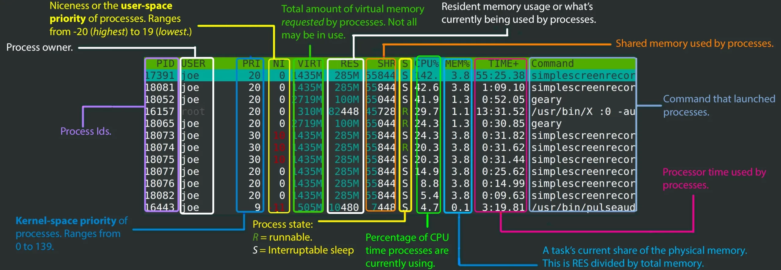 the information displayed in htop