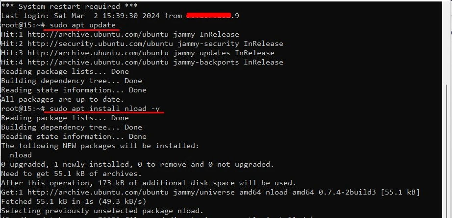 Install Nload on a Linux VPS