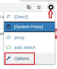 Select Options to access the control panel.