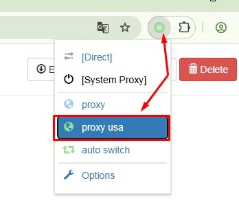 Set-Up-a-Proxy-in-Proxy-SwitchyOmega-Extension (1)