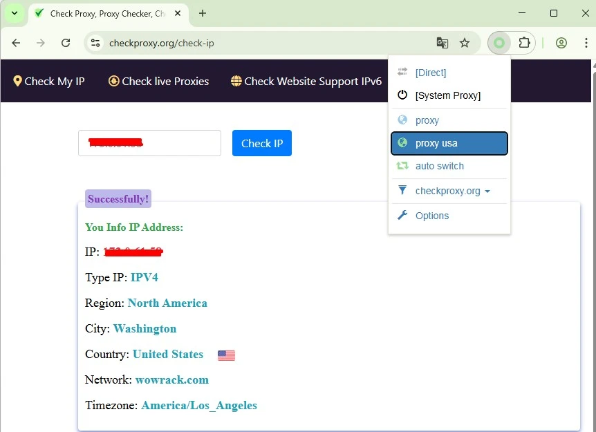 Visit-an-IP-checking-website